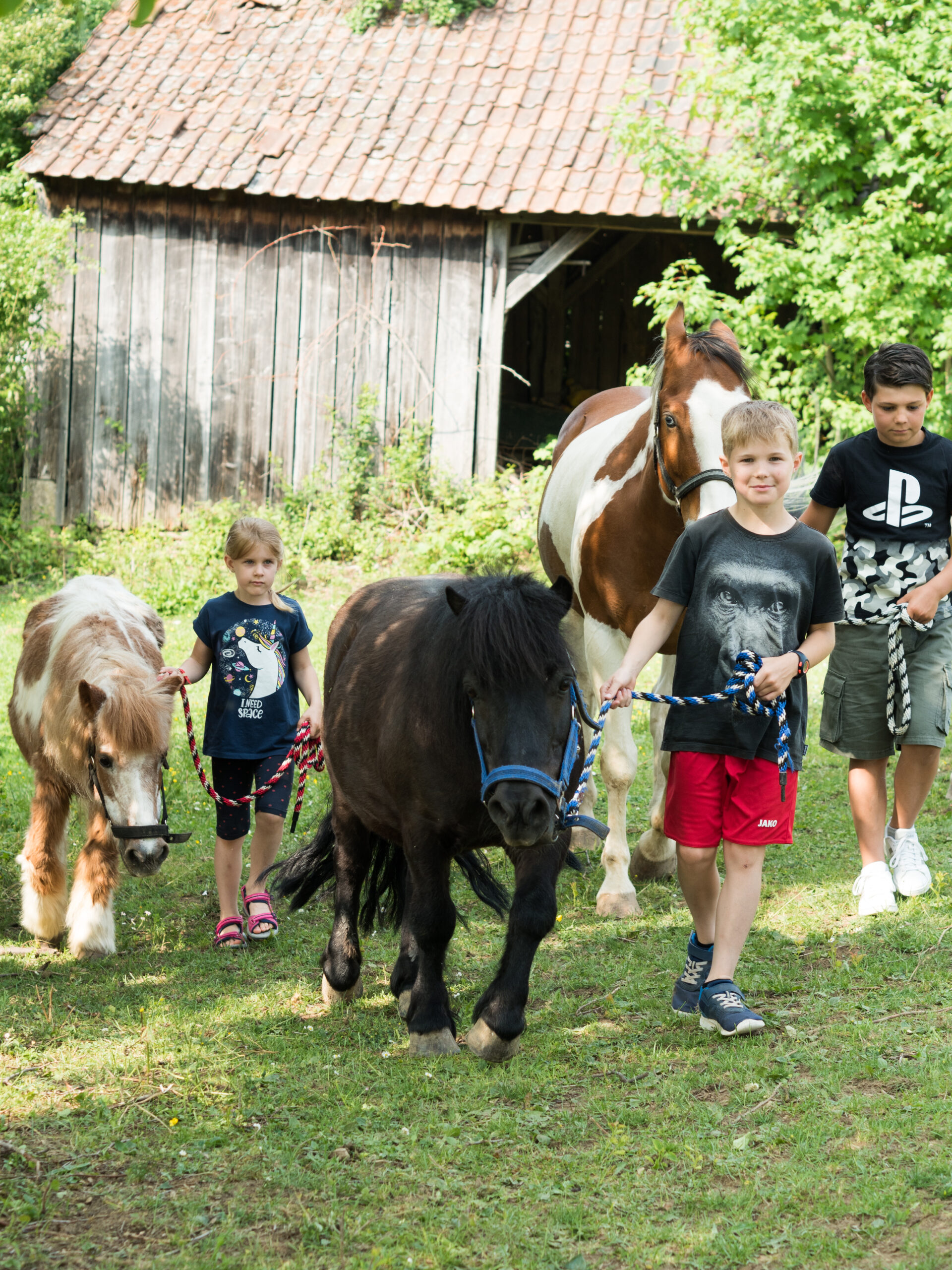 Ponys Ferienhof Henn
