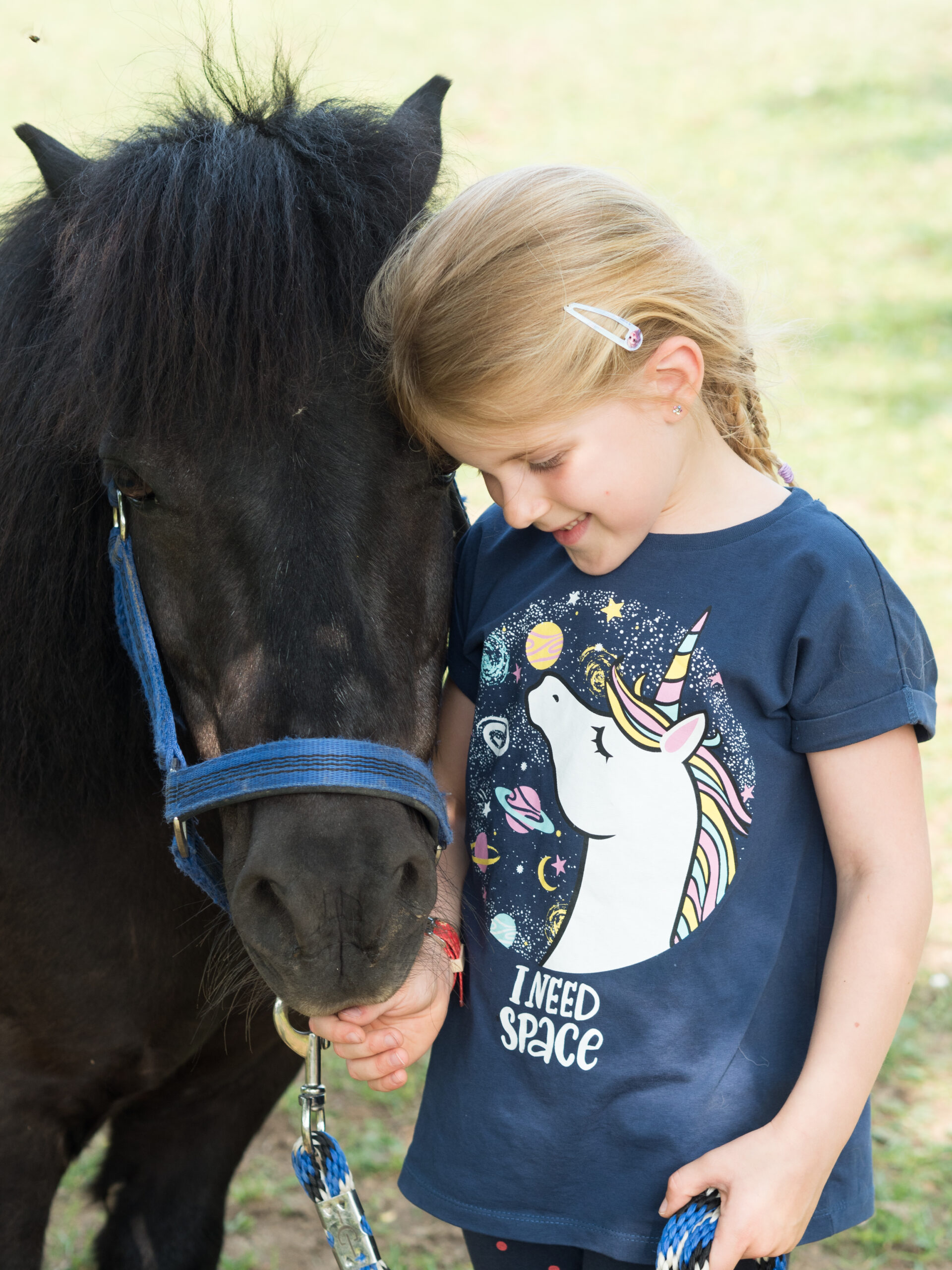 Ponys Ferienhof Henn