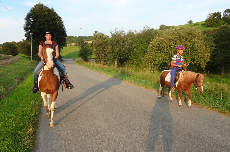Riding - Ferienhof Henn